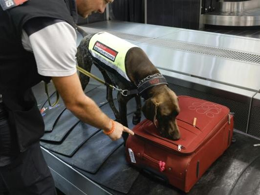 Mehr als 8.000 Kontrollen am Flughafen