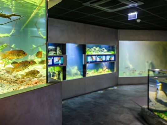 Jedes Becken erzählt eine eigene Geschichte