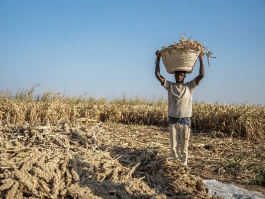 "Ernährungsunsicherheit beispiellosen Ausmaßes" für 35 Mio. Menschen