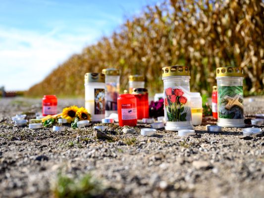 T-dliche-Hundeattacke-Tiere-m-ssen-eingeschl-fert-werden