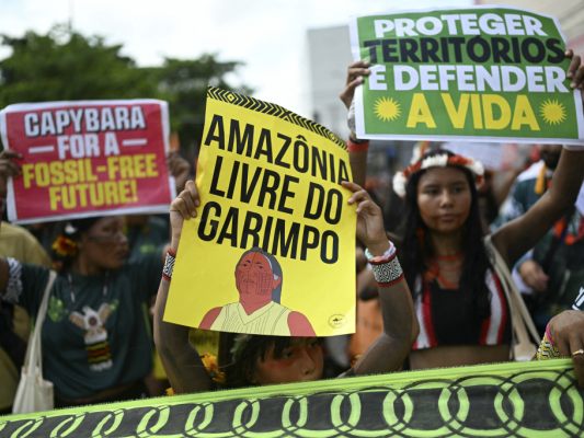 Der-Kampf-der-Indigenen-Brasiliens-endet-nicht-mit-der-COP30