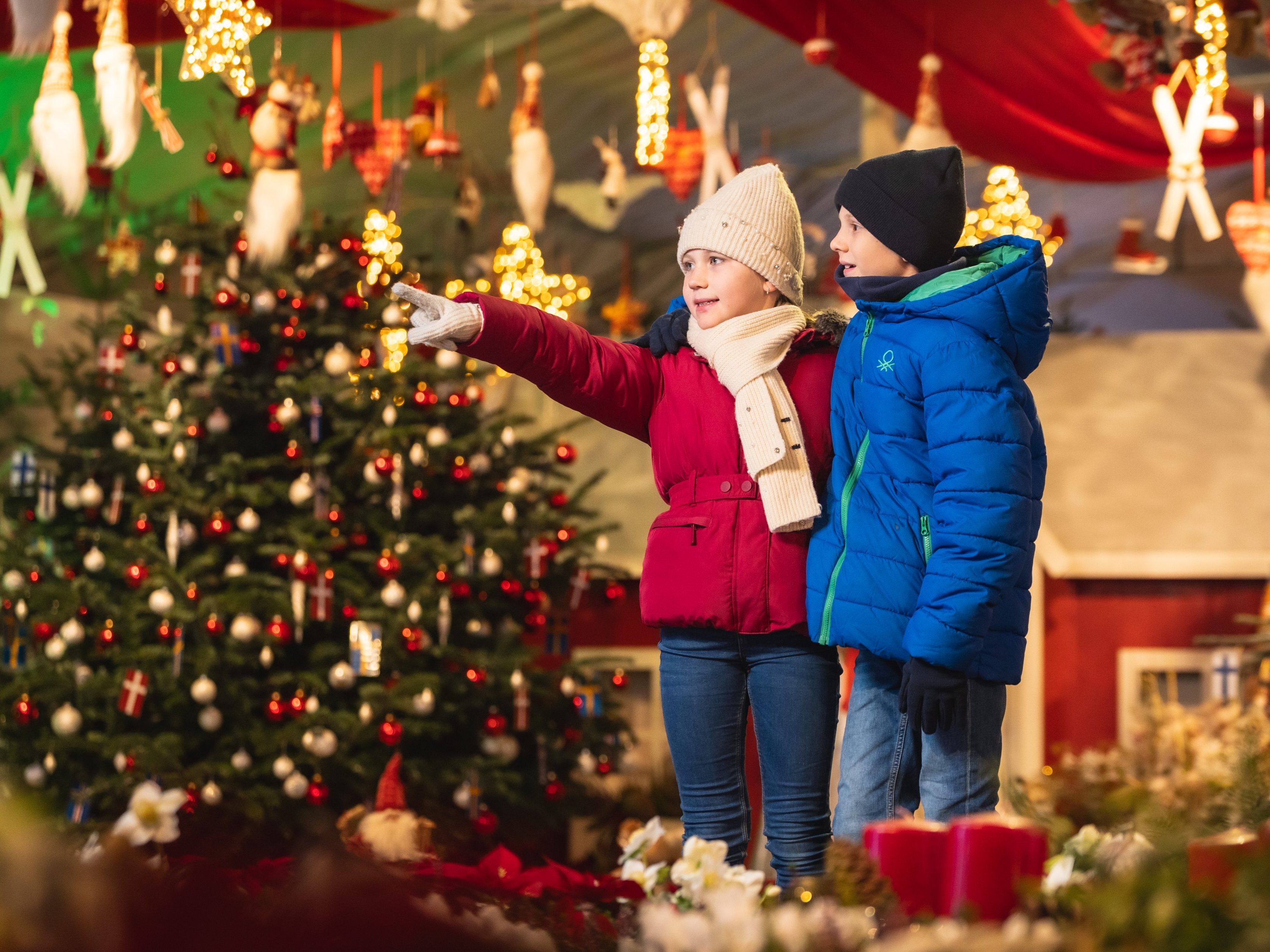 Start der Weihnachtsausstellung in den Blumengärten Hirschstetten.