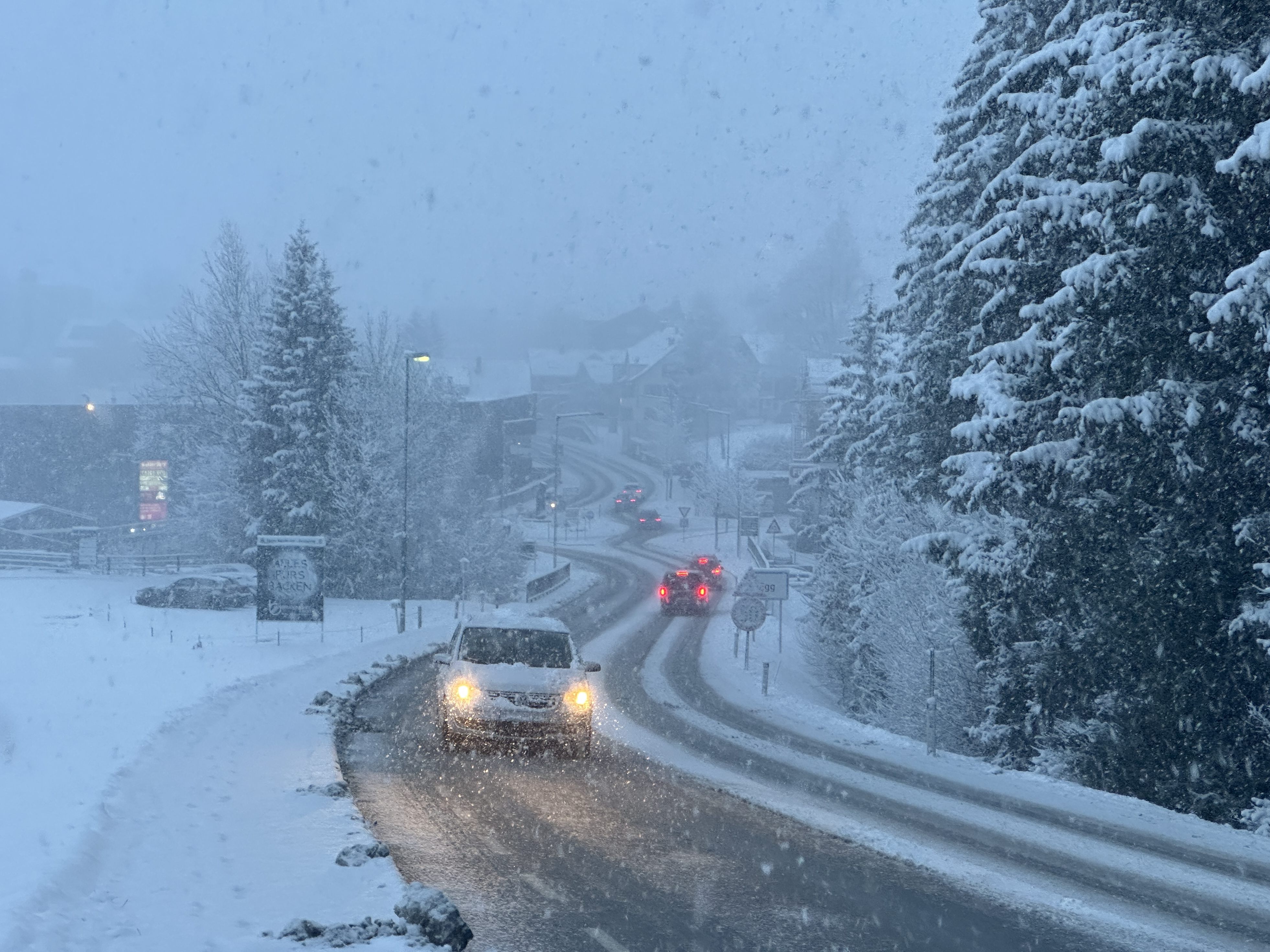 Kalt-nass-und-winterlich-Diese-Woche-bringt-Schnee-ins-Rheintal