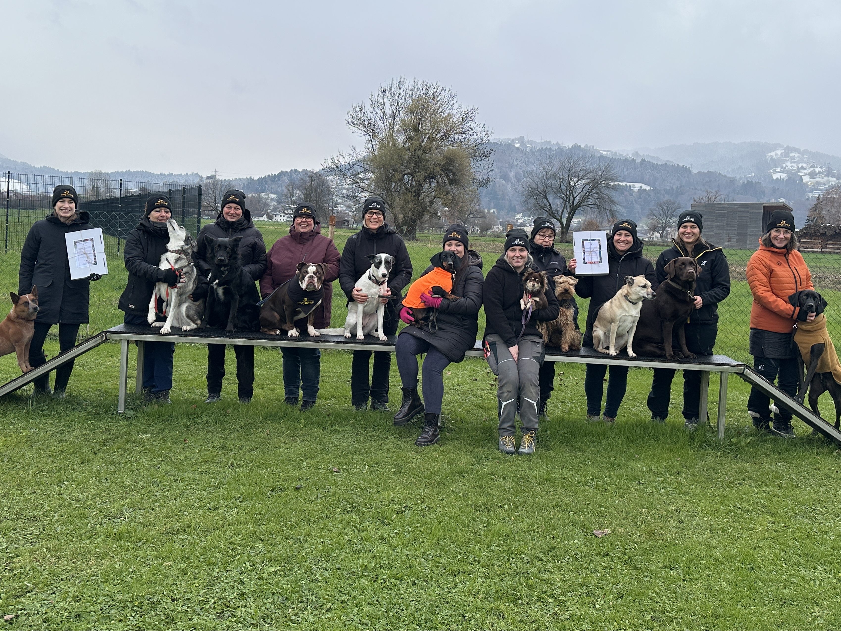 L-ndle-Hundeverein-mit-Adventskalender-f-r-guten-Zweck-Das-ist-drin-und-hier-gibt-es-ihn