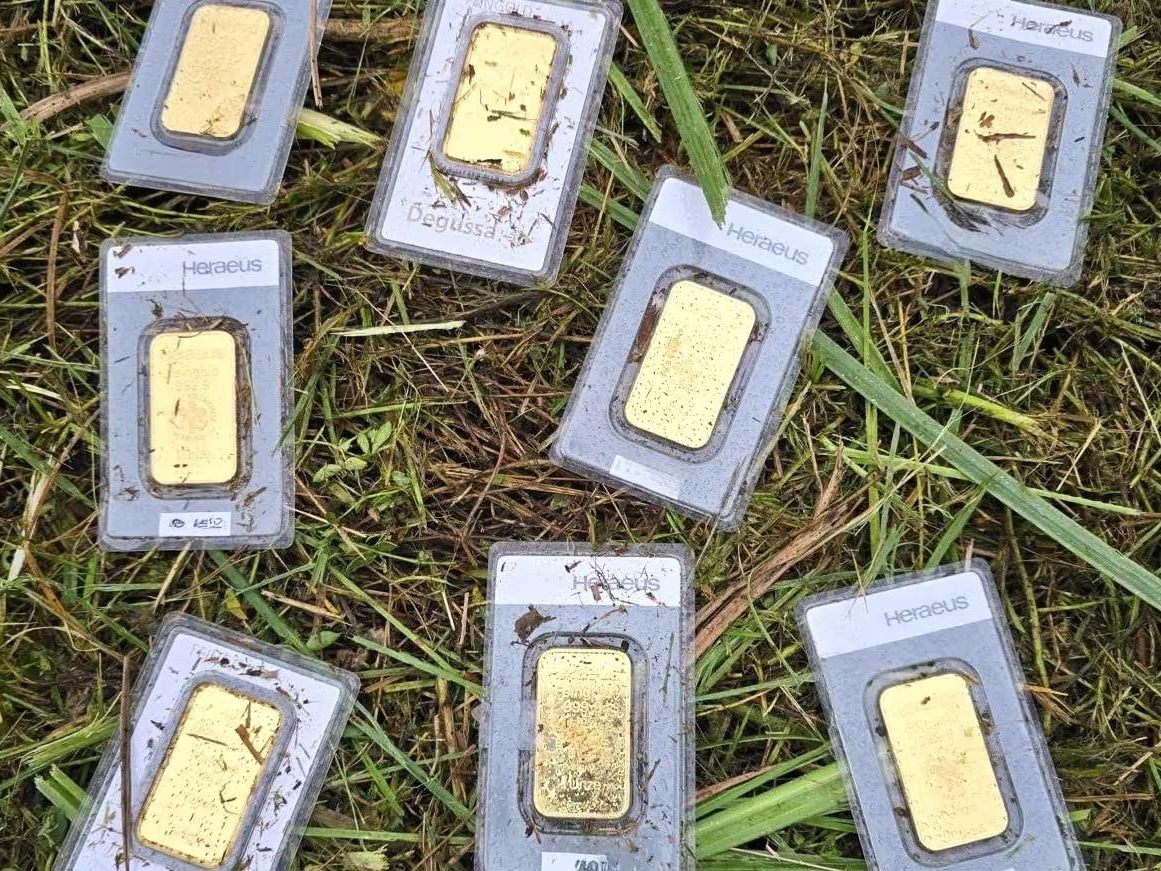 Goldbarren-auf-Wiese-entdeckt-Wer-hat-30-000-Euro-verloren-