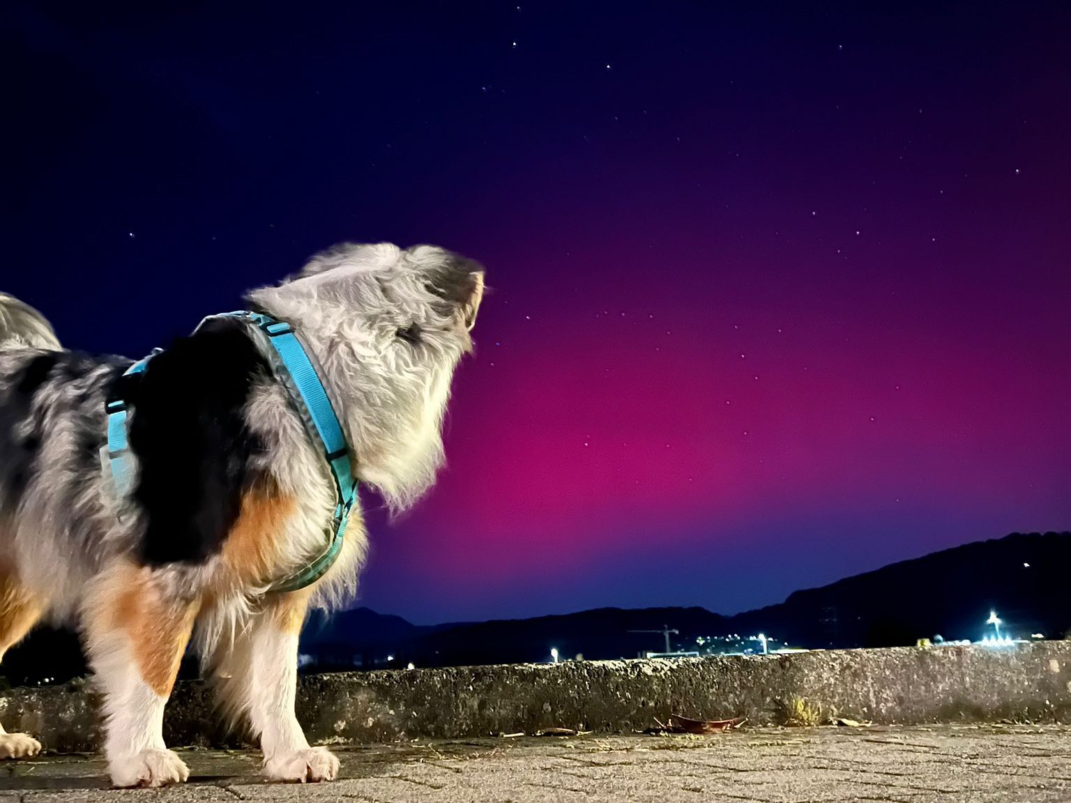 Polarlichter-ber-Vorarlberg-heute-Abend-neue-Chance