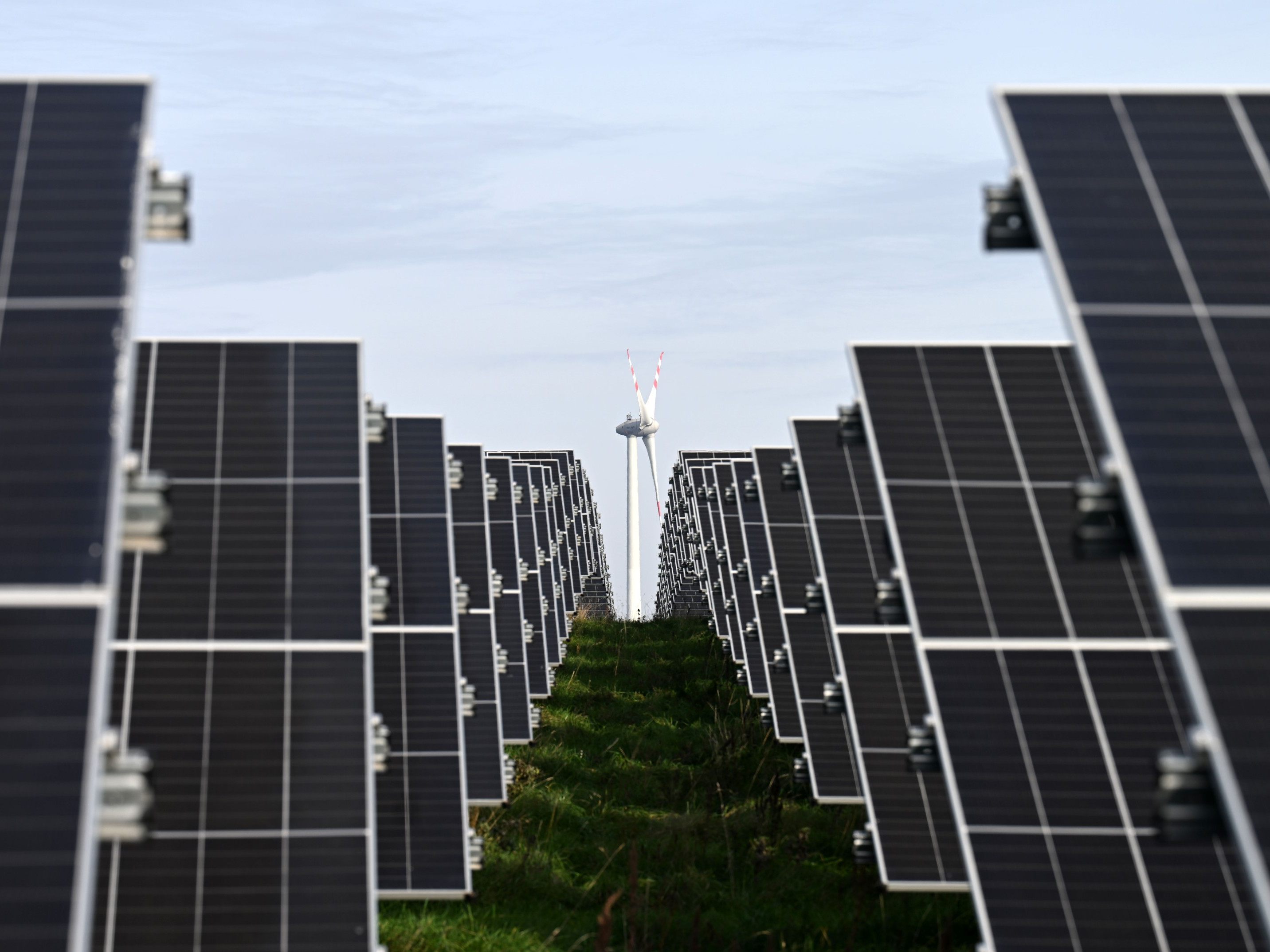 Photovoltaik-Boom-h-lt-trotz-F-rderk-rzung-weiter-an