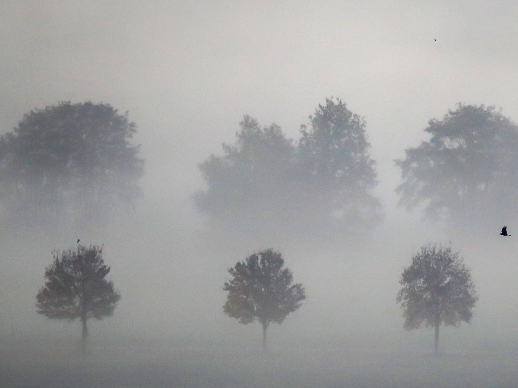 Nebelsuppe-pur-Wo-es-diese-Woche-grau-bleibt