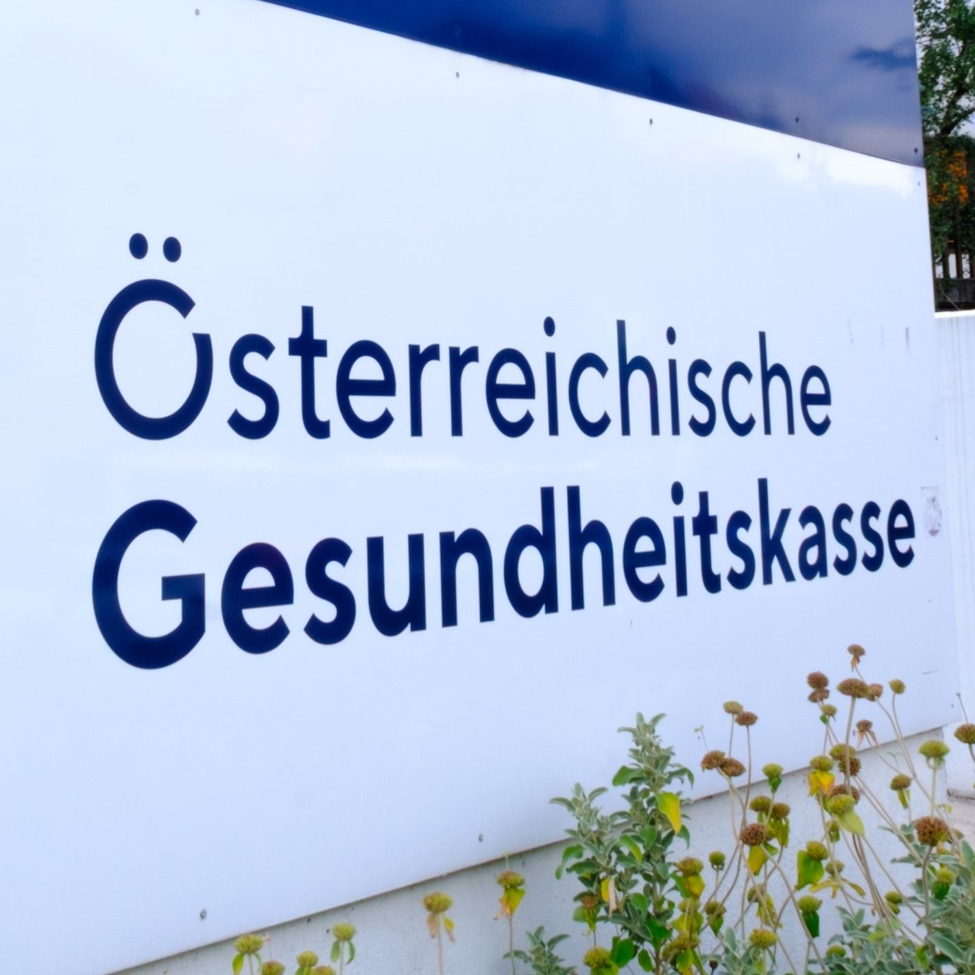 Die ÖGK erwartet in den nächsten Jahren weiter mit massiven Verlusten.