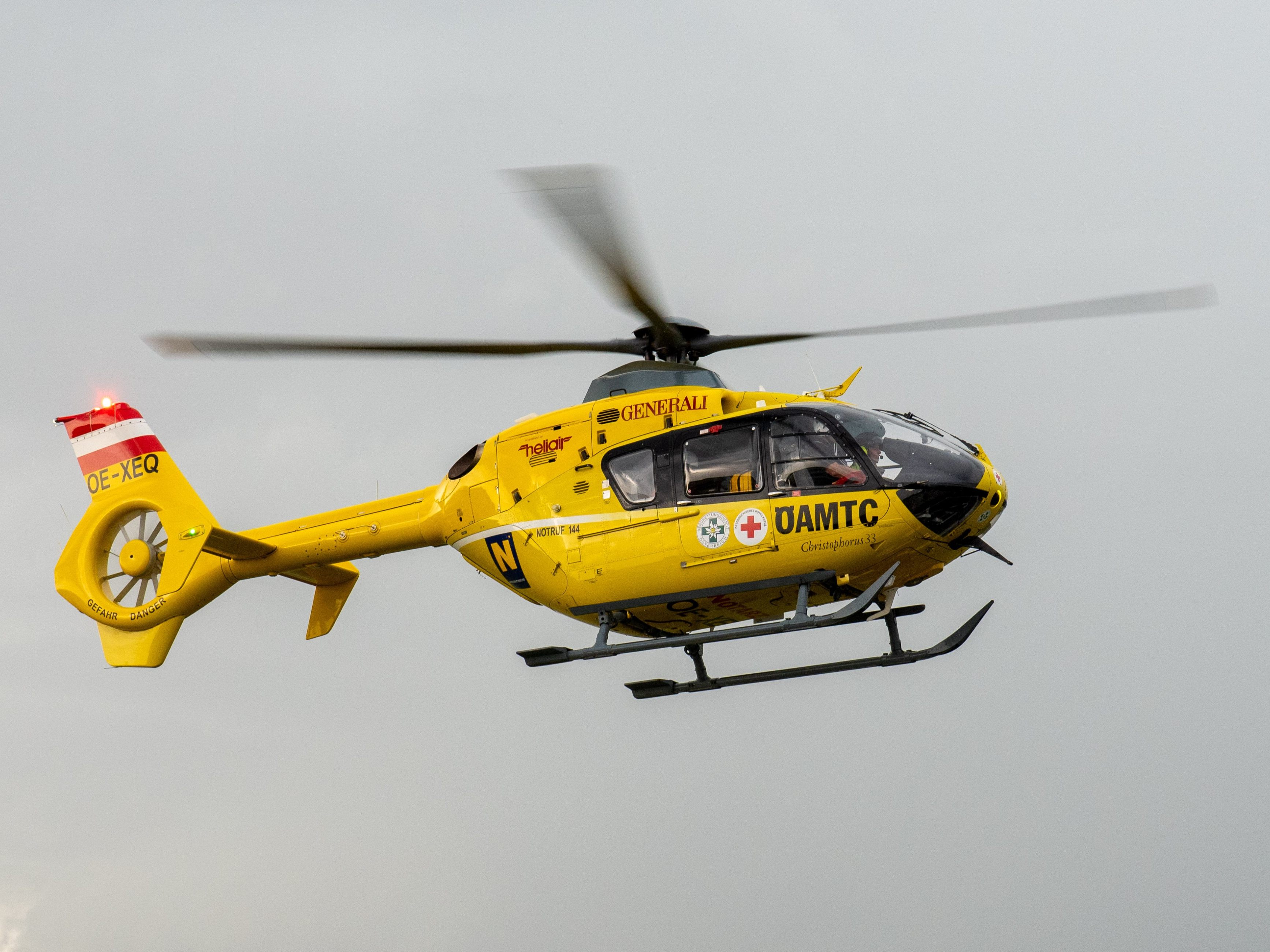 Arbeiter-von-morschem-Baum-getroffen-Schwerer-Forstunfall-in-Innerbraz