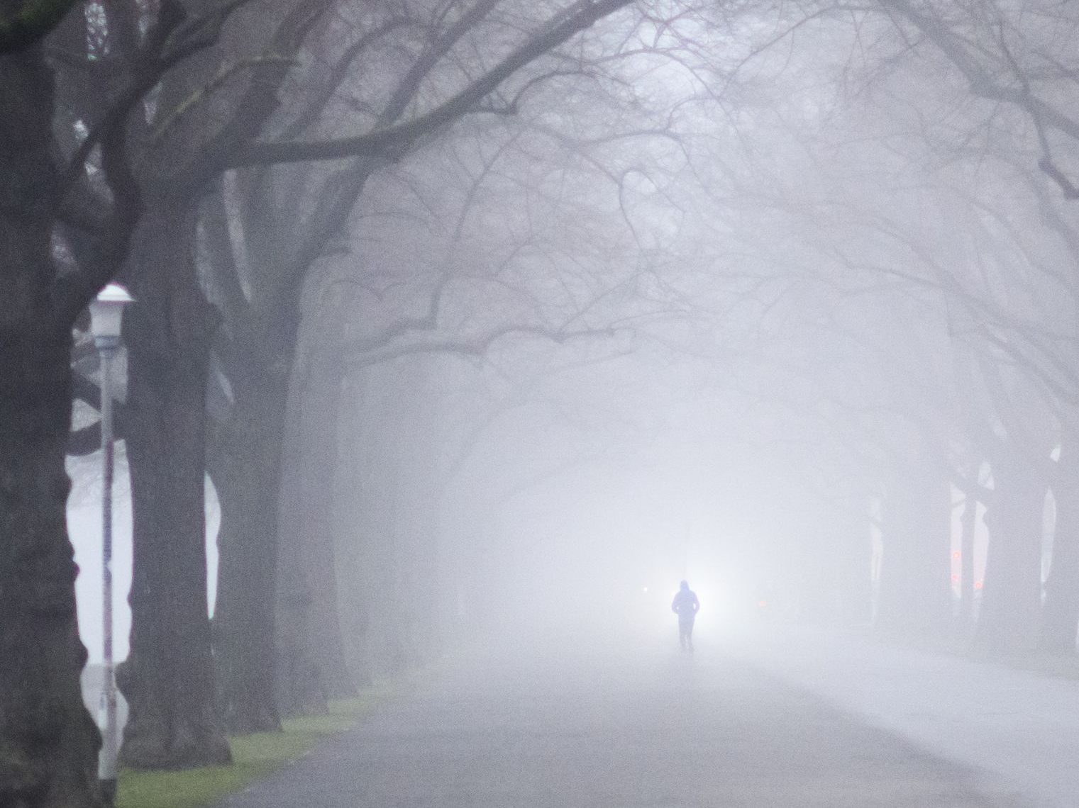 Vorarlberger Straßen bei Nebel besonders tückisch
