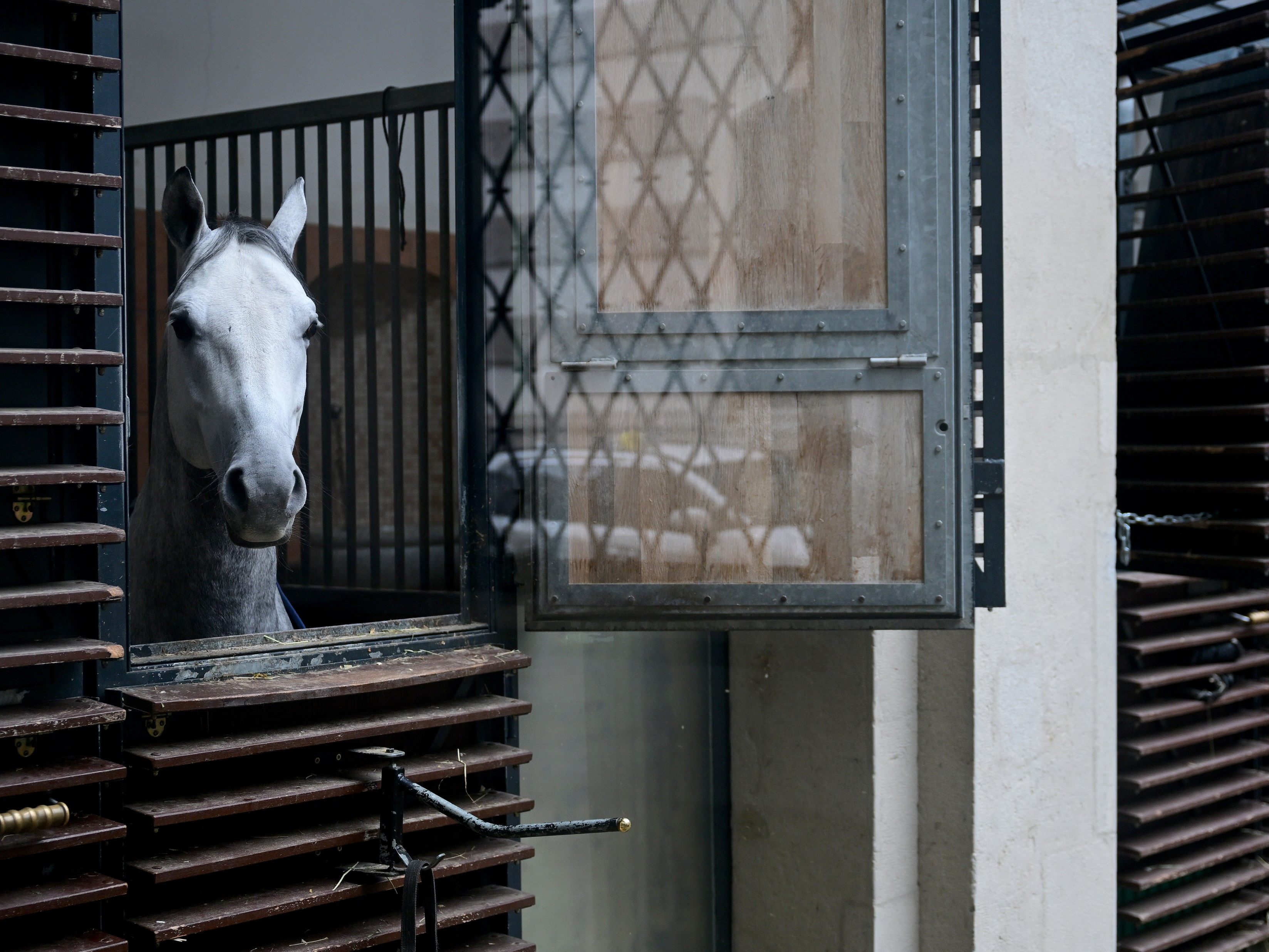 spanische-hofreitschule-michael-enzinger-bernimmt-als-aufsichtsratschef