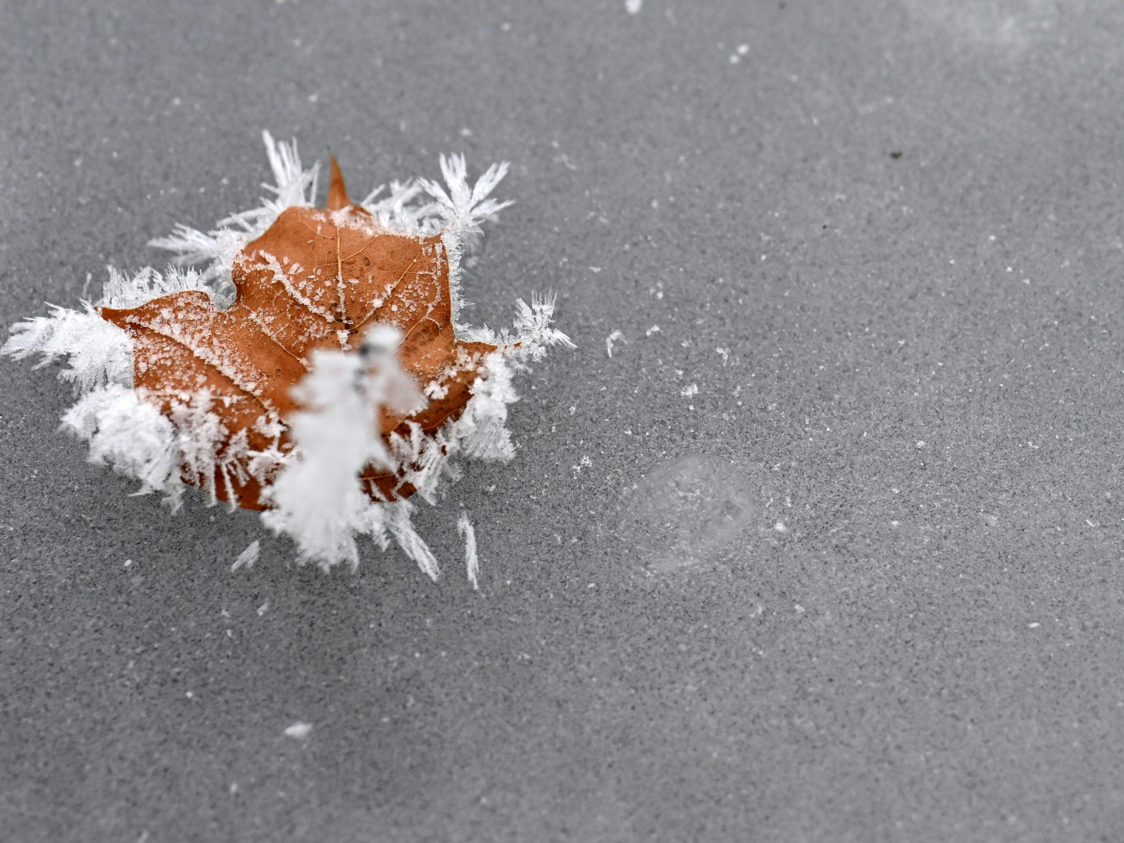 Minus-13-Grad-Waldviertel-mit-K-ltepol-Nieder-sterreichs