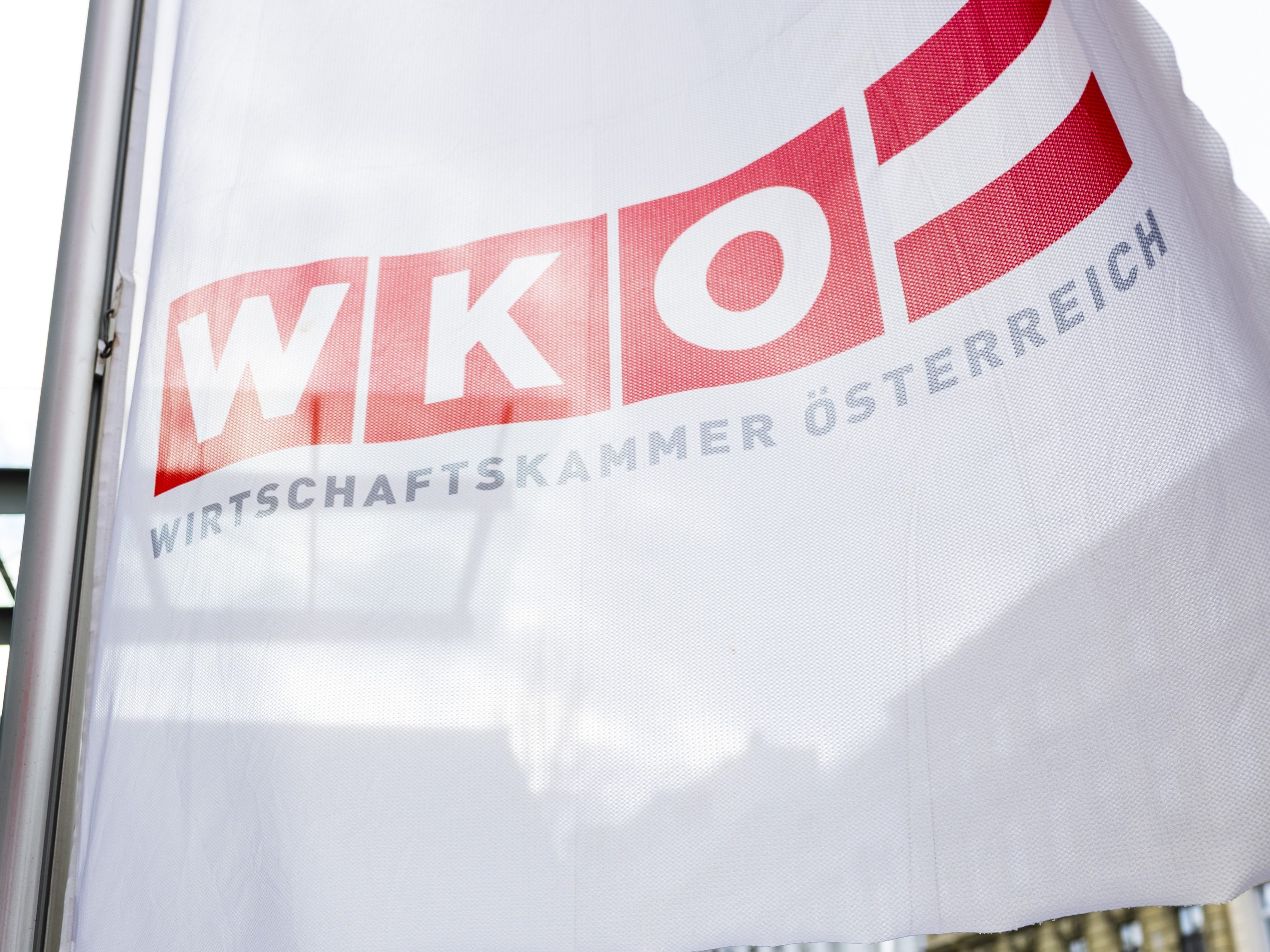 Gr-ne-Wirtschaft-will-WK-Neustart