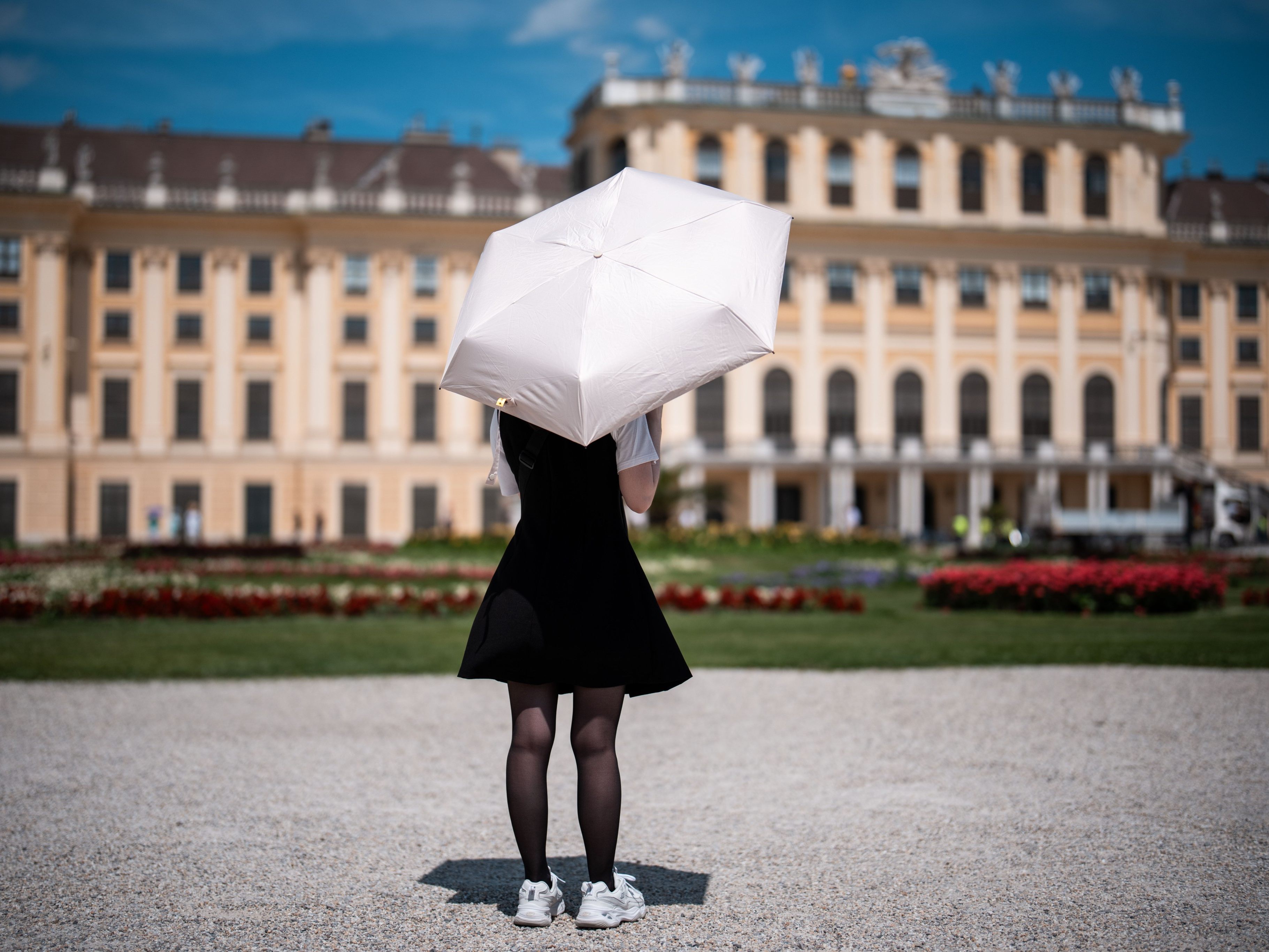 Tourismus-erklomm-neues-Rekordhoch