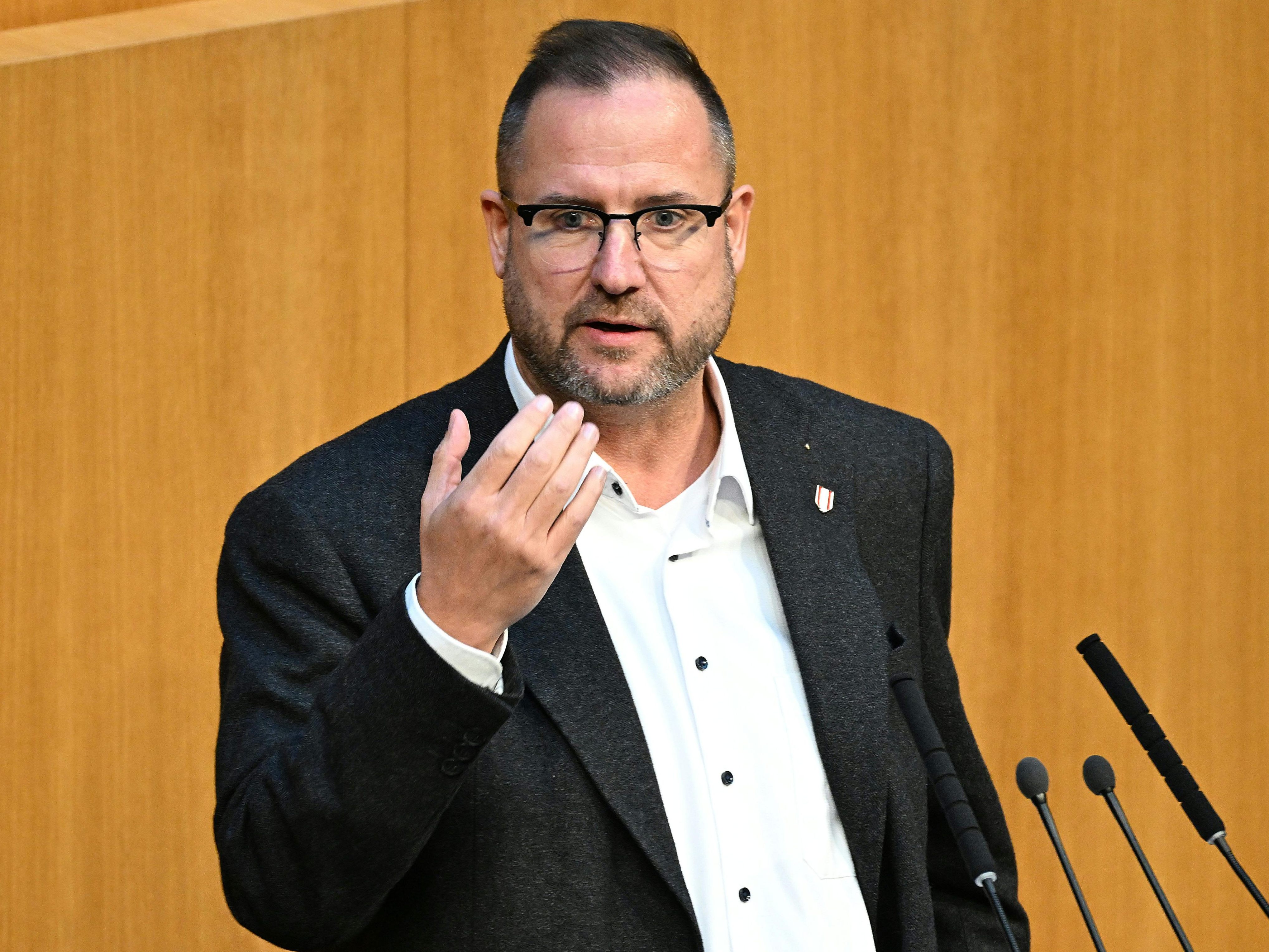 fp-will-expertengruppe-zu-strommarktgesetz