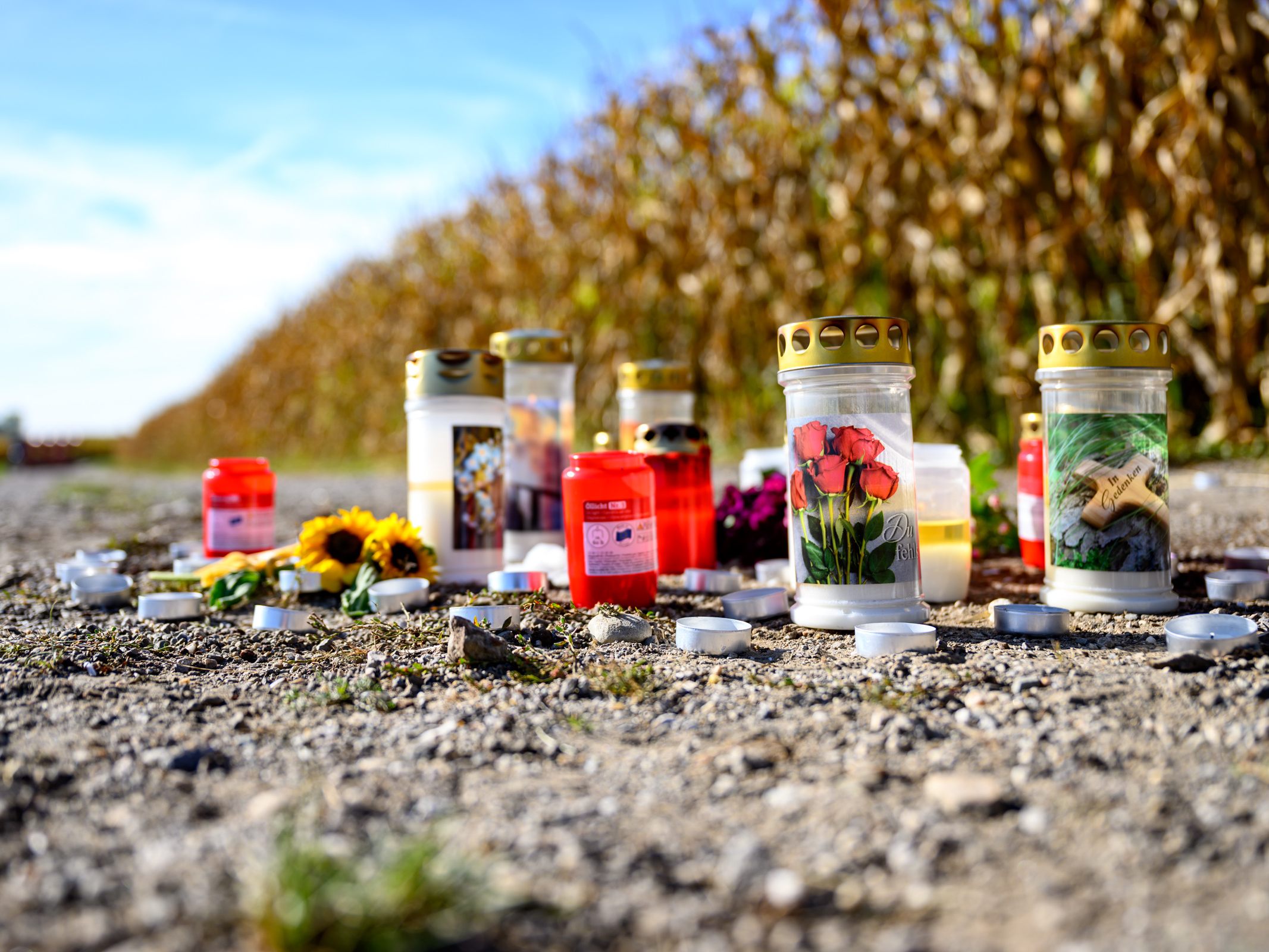 hunde-m-ssen-nach-attacke-in-o-eingeschl-fert-werden