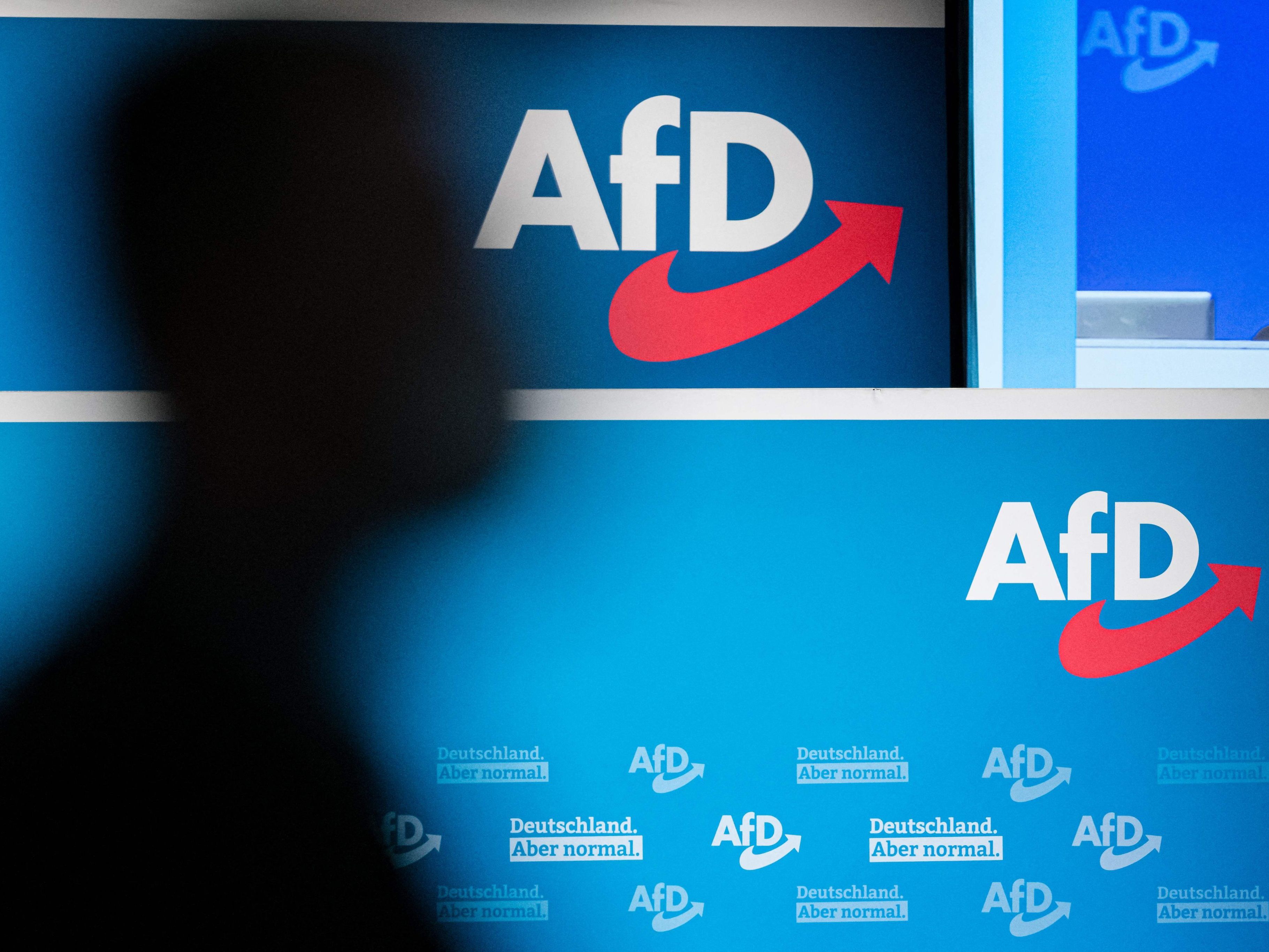 Das EUIPO entzieht der AfD die Markenrechte an Logo und Kürzel.