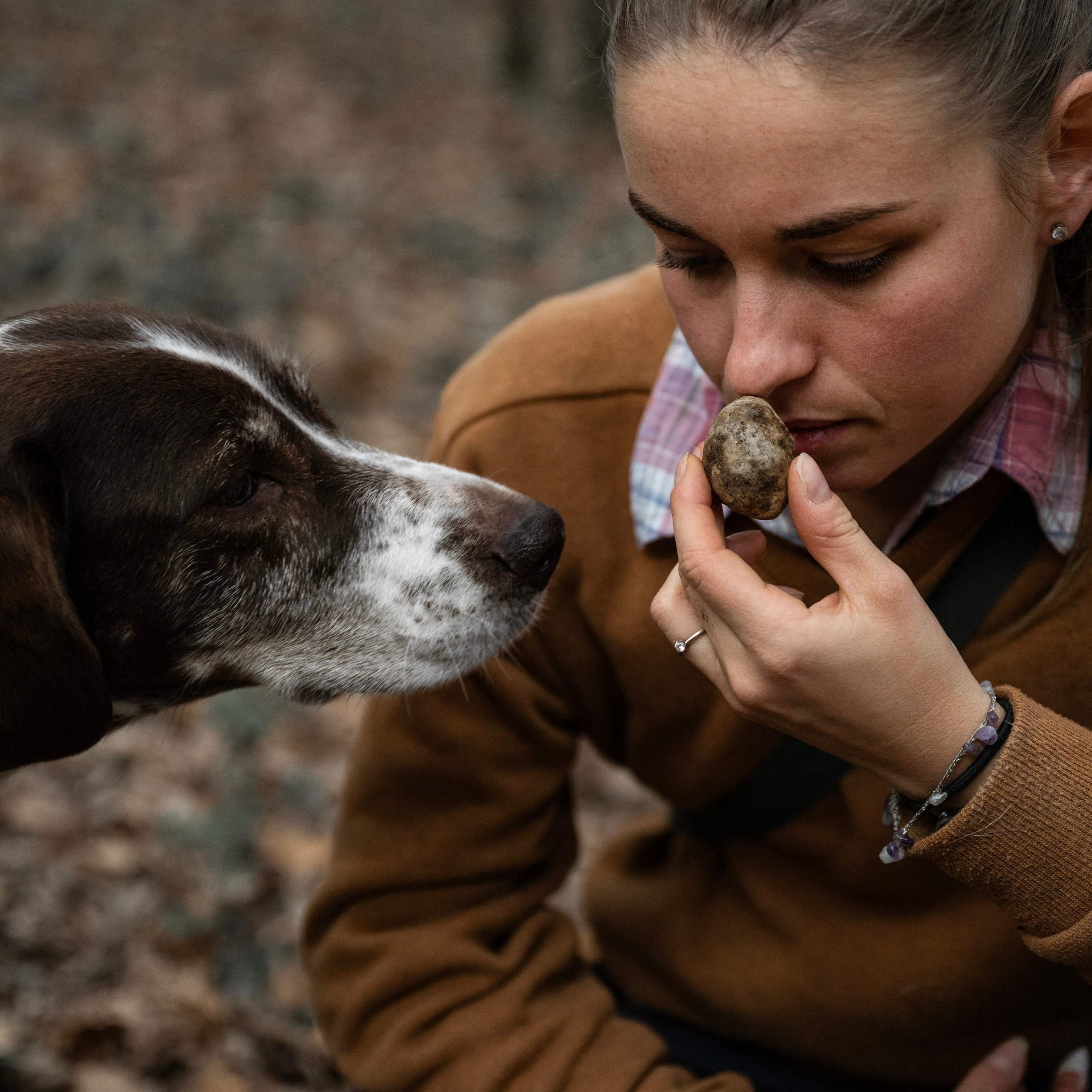 Trüffeljägerin Martina Aloi riecht an einem weißen Trüffel, den ihr Hund Mia am 6. November 2025 in der Waldgegend von Montà d’Alba in der Roero-Landschaft nahe Alba im Nordwesten Italiens gefunden hat.