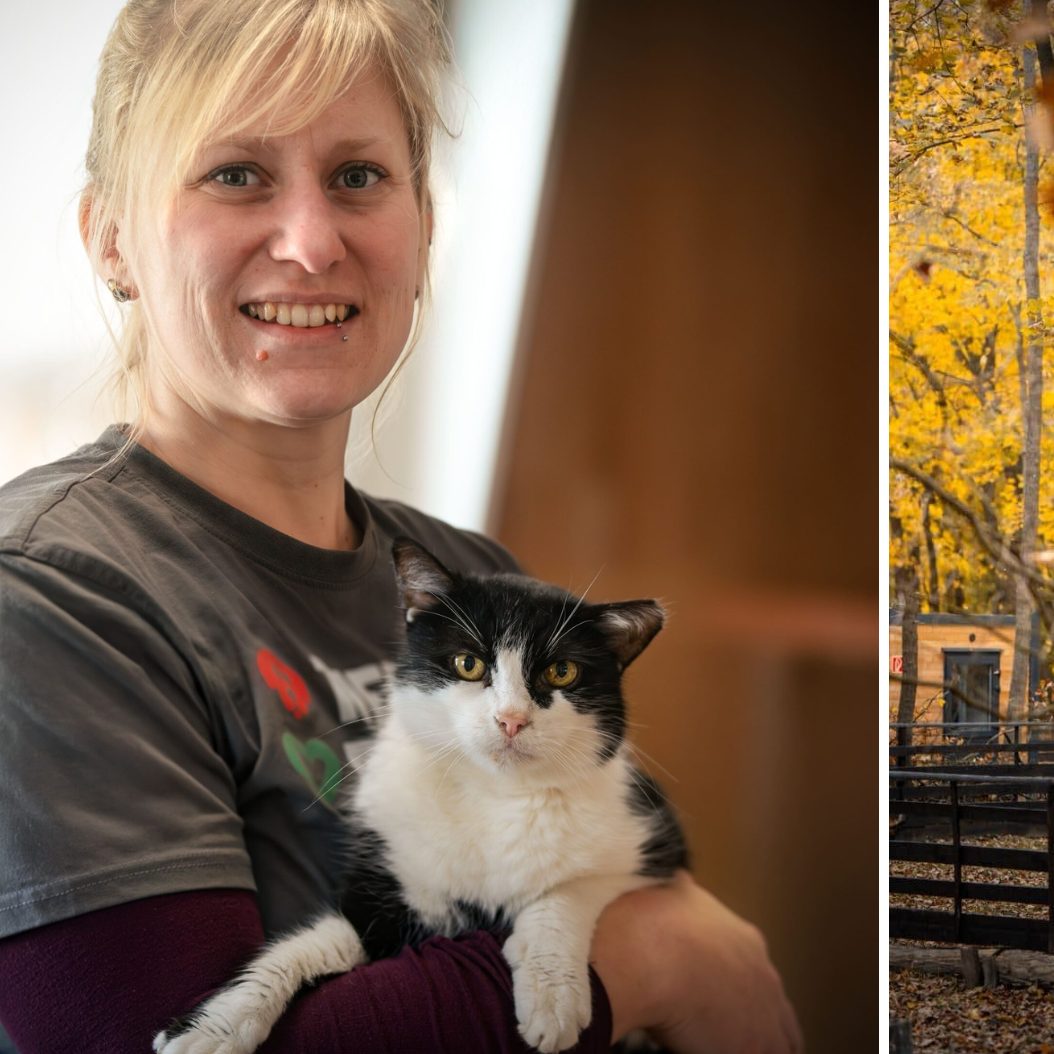 Im Bild: Hofleiterin Stephanie Lang und Prinzi; Assisi-Hof Stockerau.
