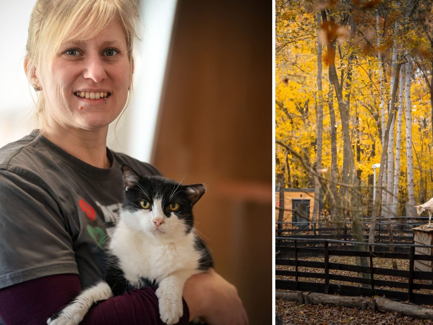 Im Bild: Hofleiterin Stephanie Lang und Prinzi; Assisi-Hof Stockerau.