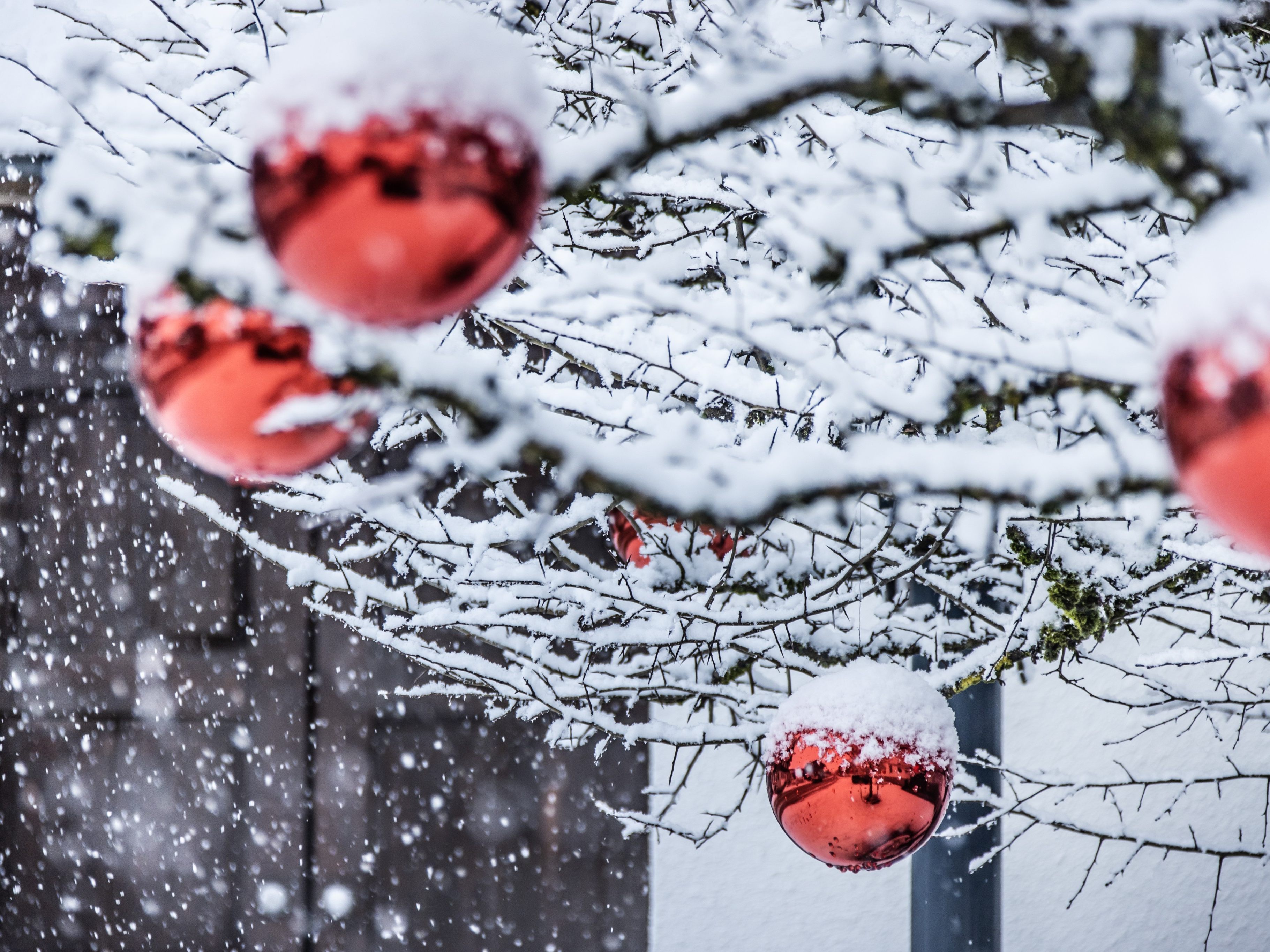 Adventer-ffnung-am-Dorfplatz-Bezau