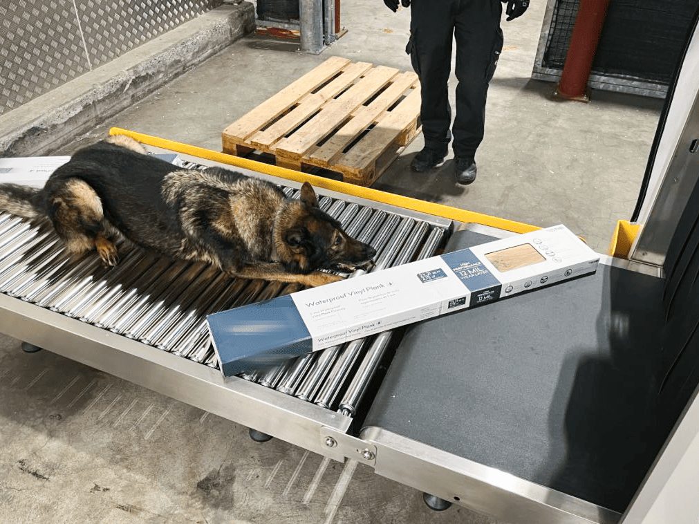 128-kilo-haschisch-im-vinylboden-drogenfund-am-flughafen-z-rich