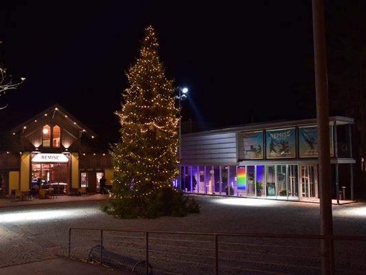 Bludenz-leuchtet-Christbaum-im-Rampenlicht