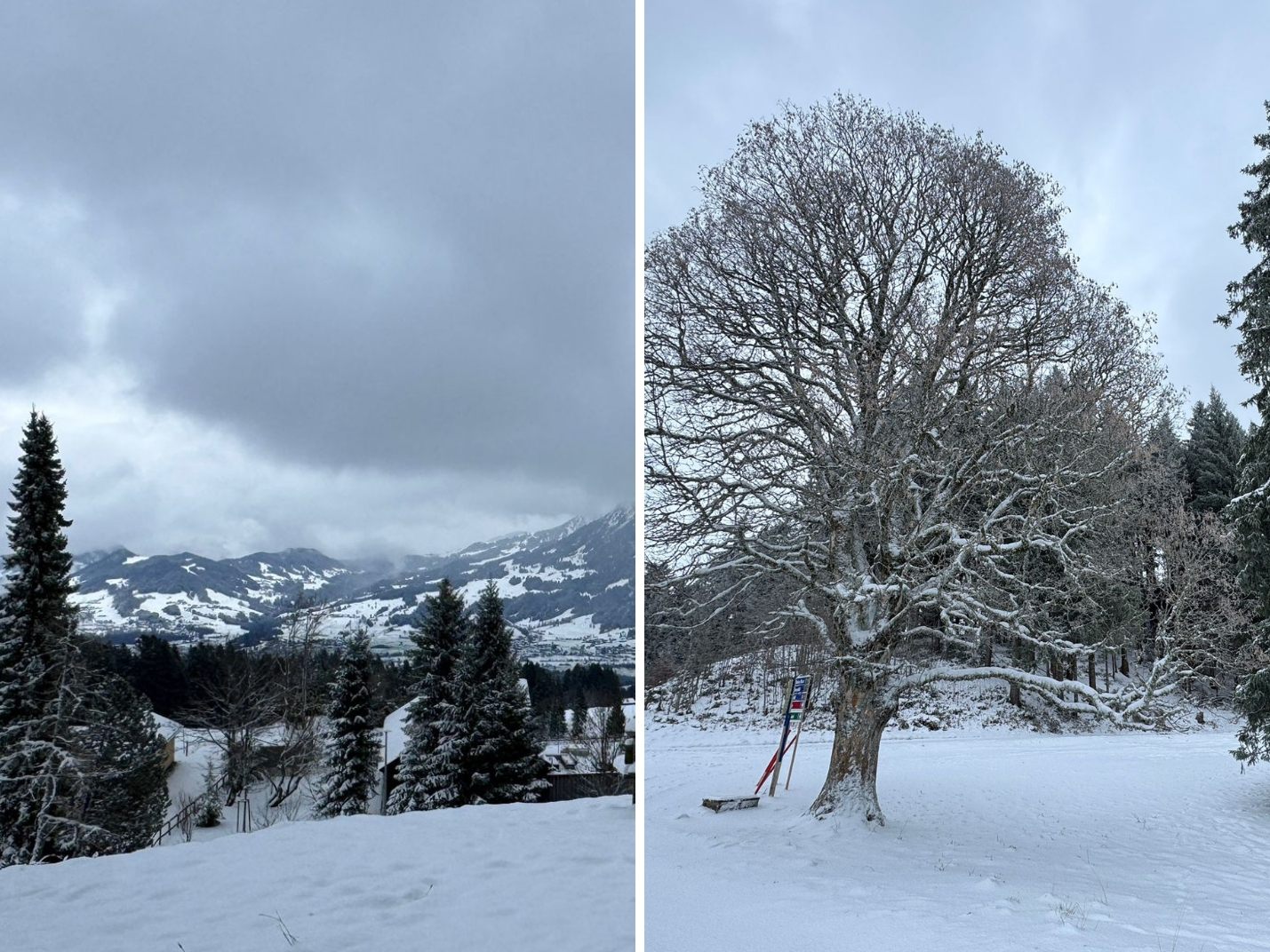 Das Bödele zeigt sich winterlich.