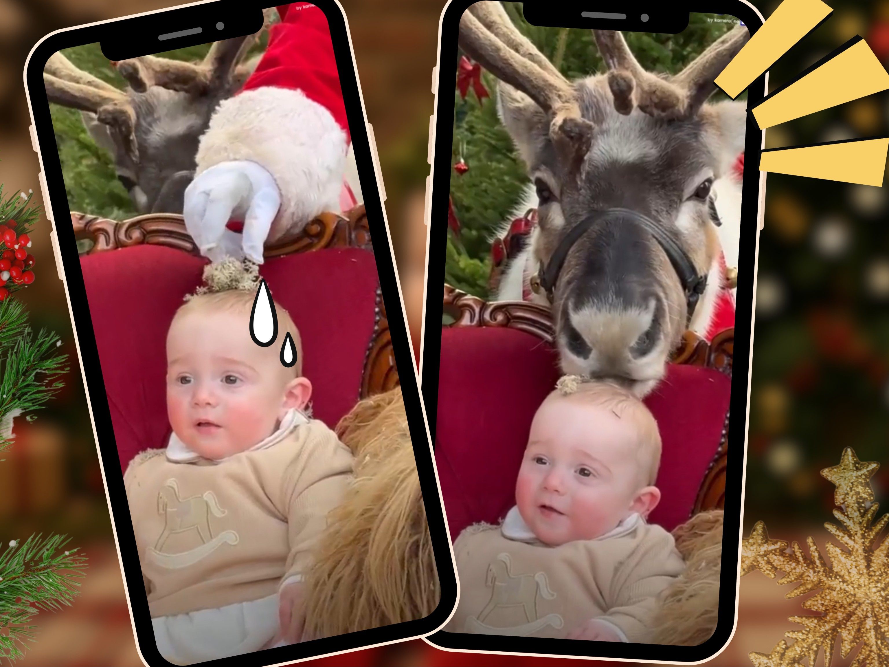 Weihnachtliches Fotoshooting: Rentier knabbert Baby-Deko an