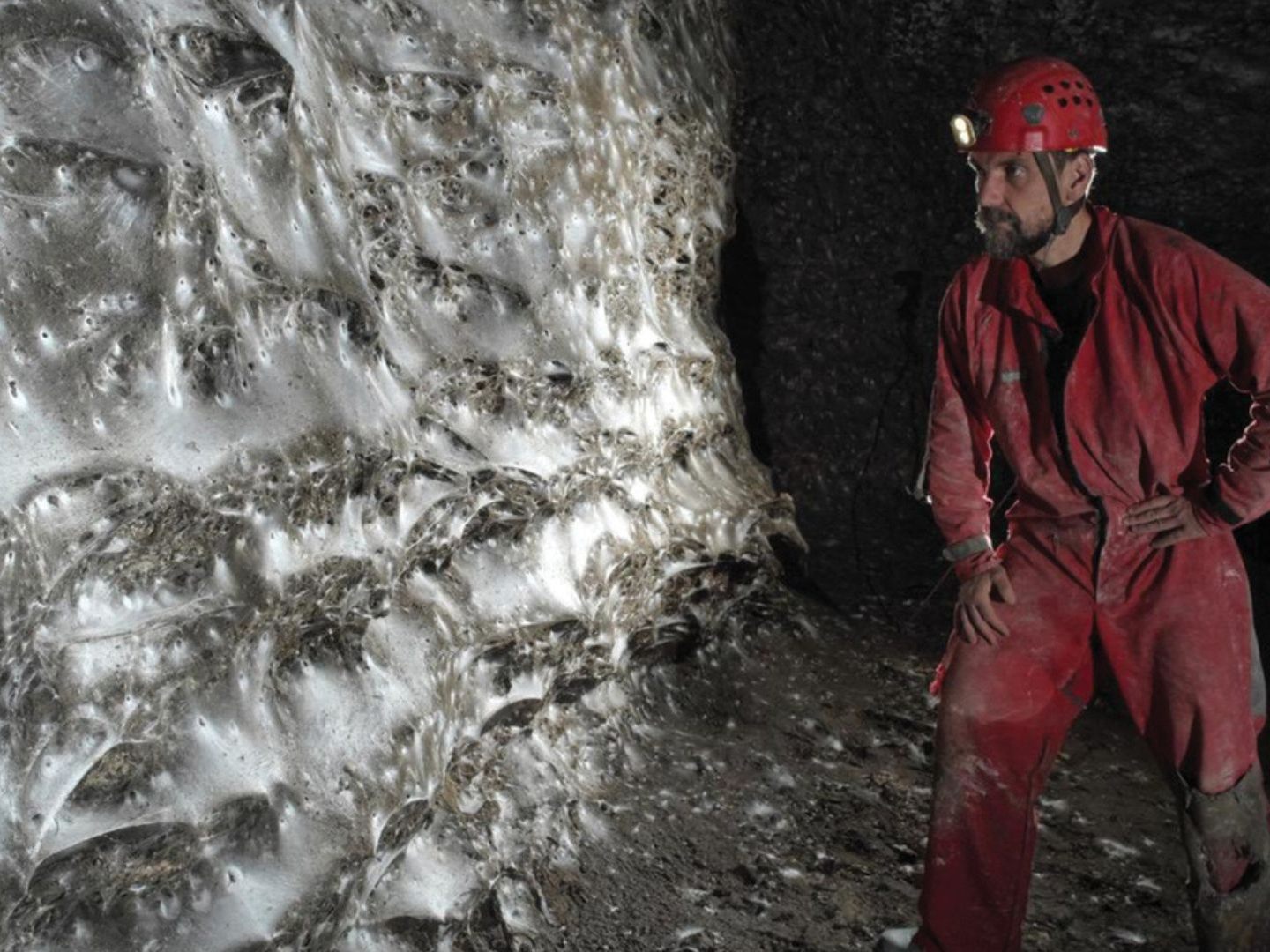 Rekordfund-in-Europa-Forscher-entdecken-riesiges-Spinnennetz-in-Schwefelh-hle