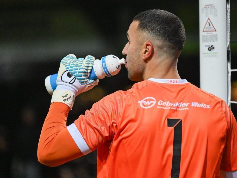 vorstellen-kann-sich-stojanovic-alles