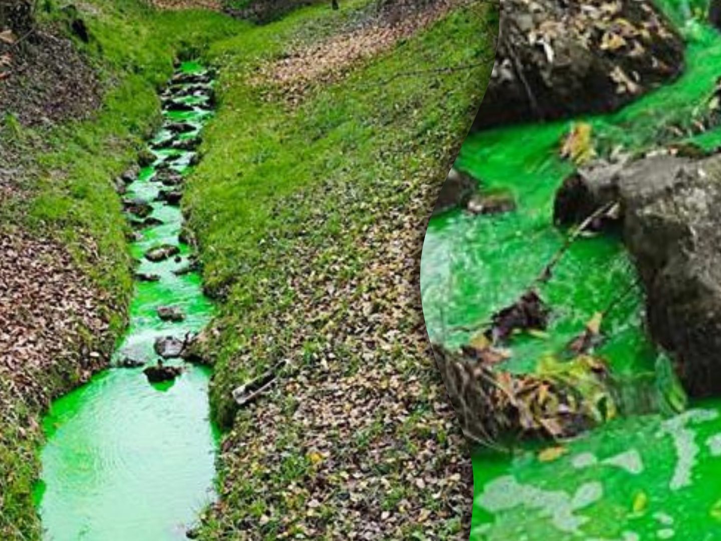 Hohenems-Mysteri-se-Verf-rbung-im-Krebsgraben-entdeckt