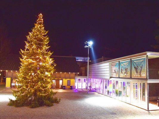 Der festlich geschmückte Christbaum am Remise-Vorplatz erstrahlt erstmals im Adventglanz.