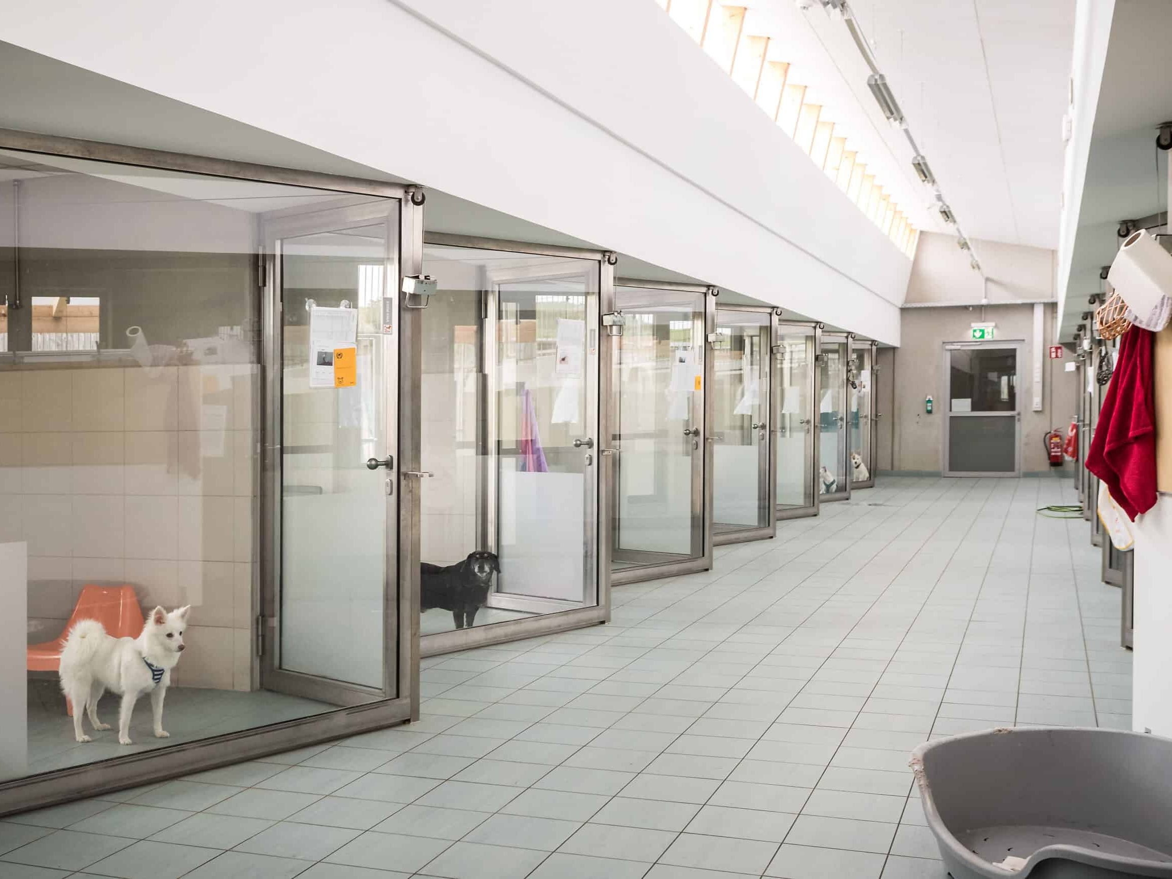 TierQuarTier-Wien-l-dt-zu-Adventfeier-2025