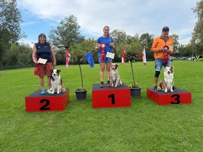 Landesmeisterschaft-Agility