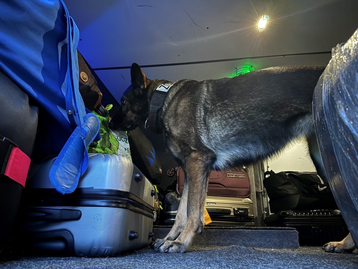 Sp-rh-ndin-Maila-findet-ein-Kilo-Marihuana-im-Fernbus