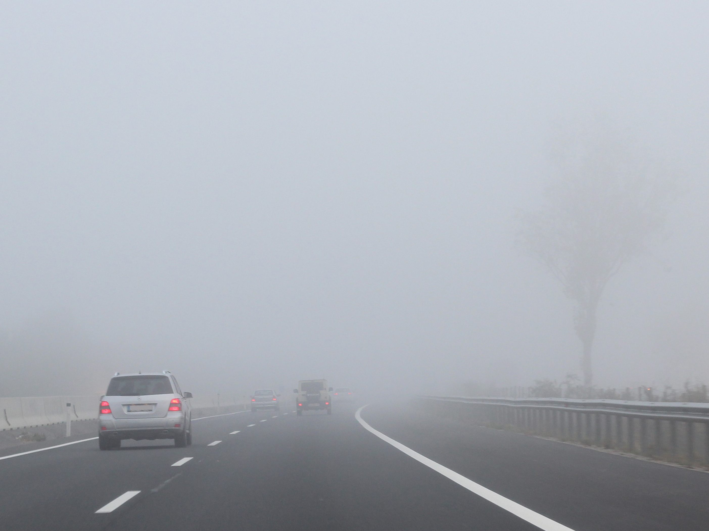 Nebel-l-sst-Unfallgefahr-steigen