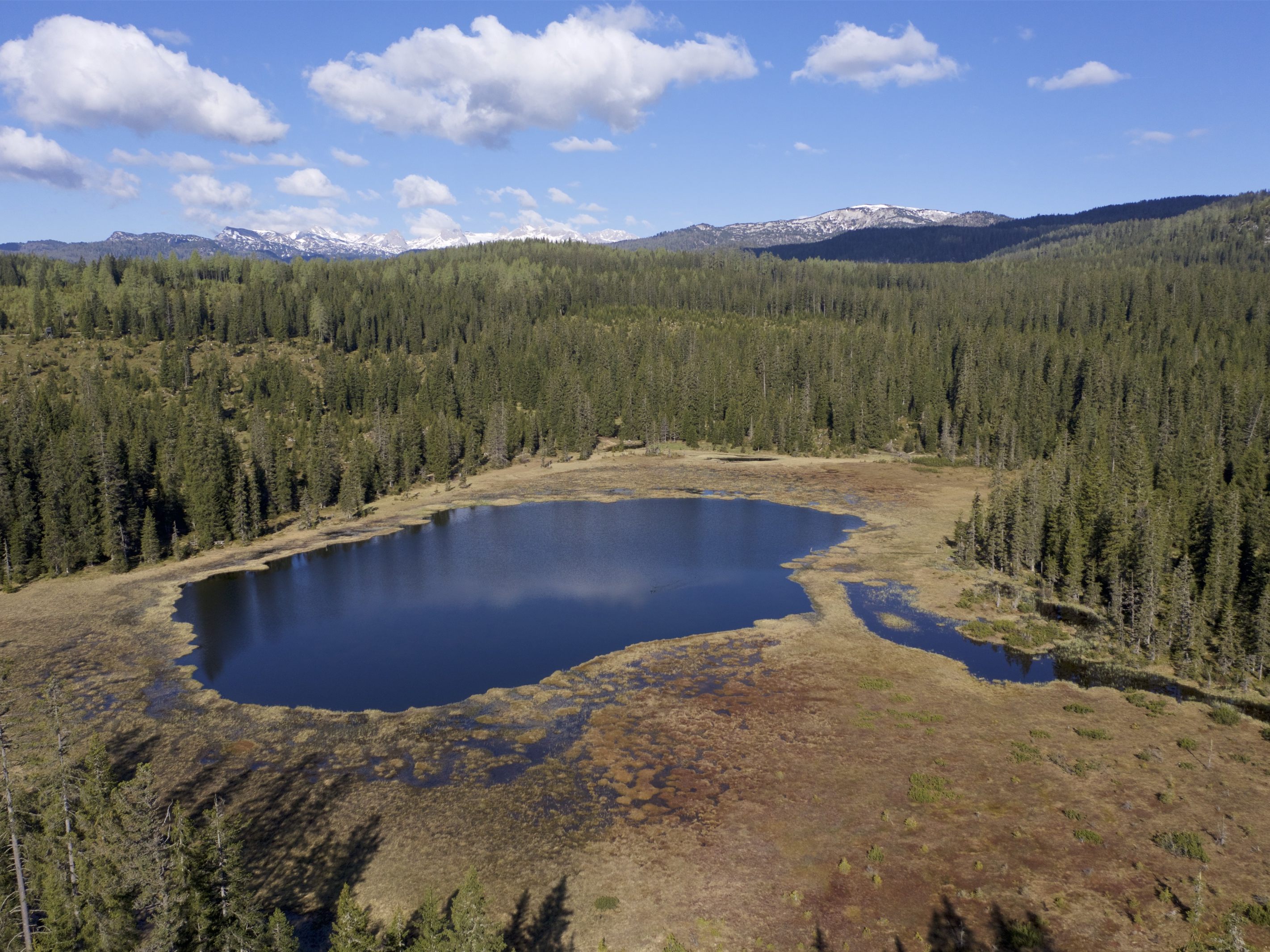 Geodatenbank-berarbeitet-44-000-Hektar-Moor-neu-erfasst