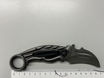 Die Frau wurde auf freiem Fuß angezeigt.