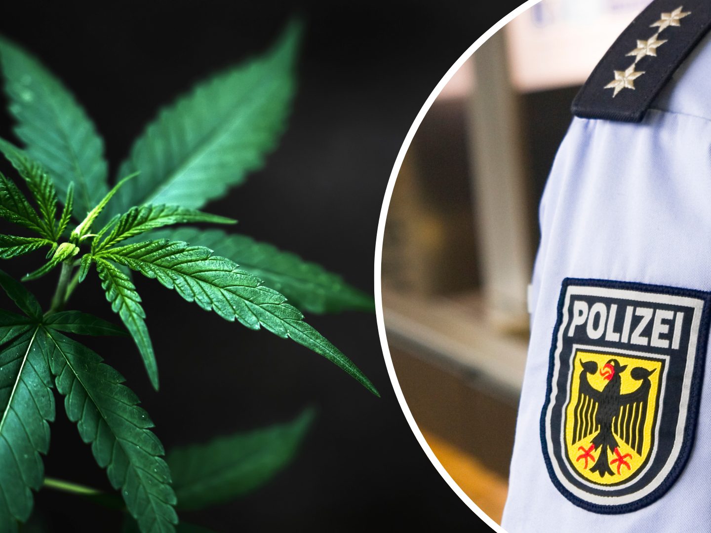 Wollte Wohnung durchsuchen – Polizist soll Beweismittel gefälscht haben