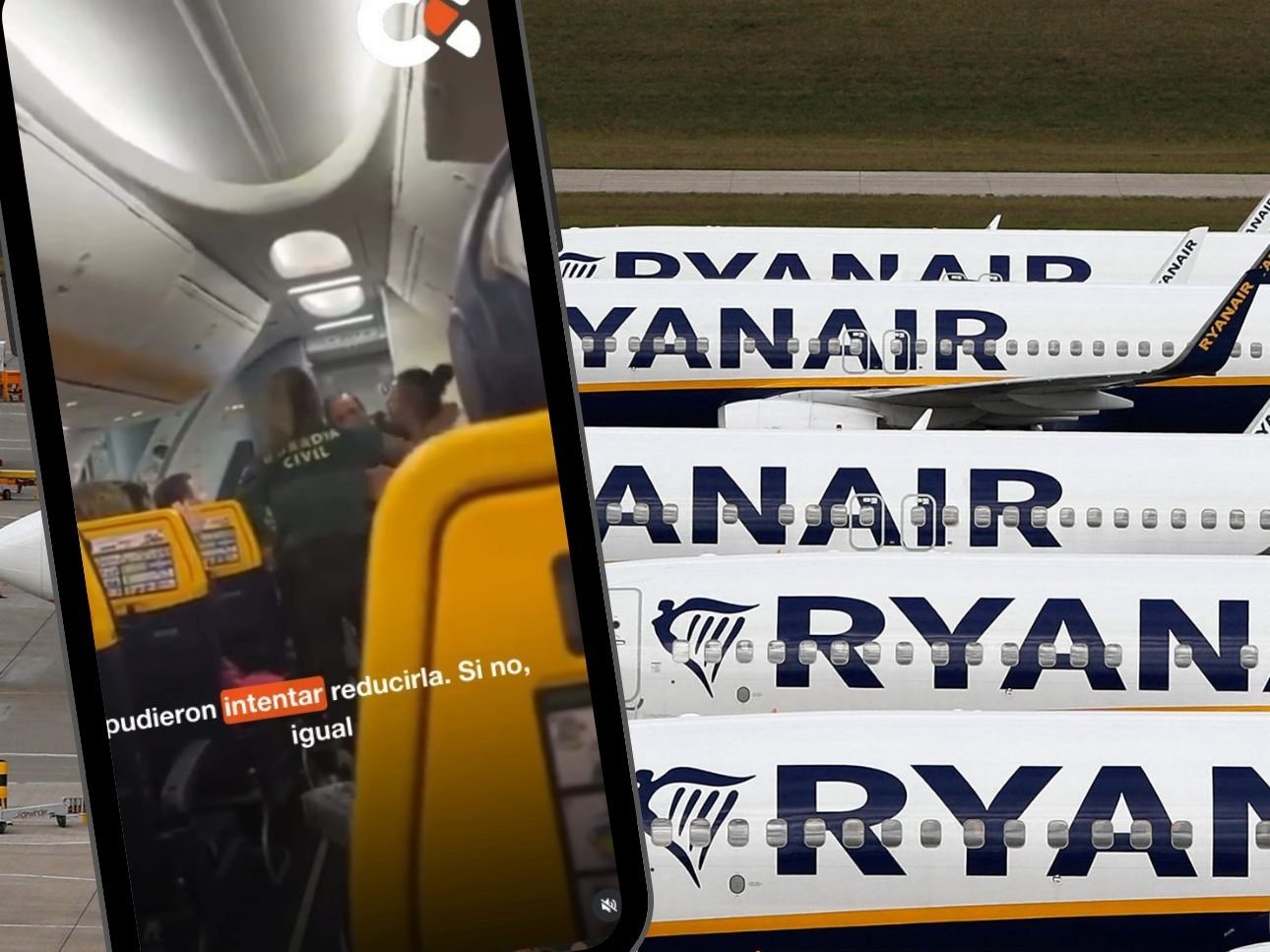 MMA-K-mpferin-verpr-gelt-Polizisten-in-Ryanair-Flieger