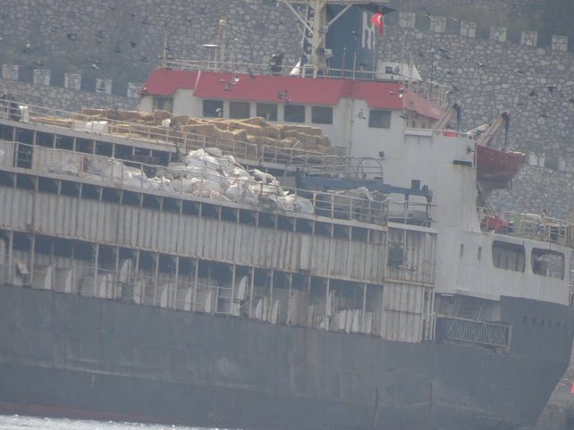 Nach-Einfuhrverbot-Tiertransportschiff-seit-Tagen-vermisst-Trag-die-an-Bord-bef-rchtet