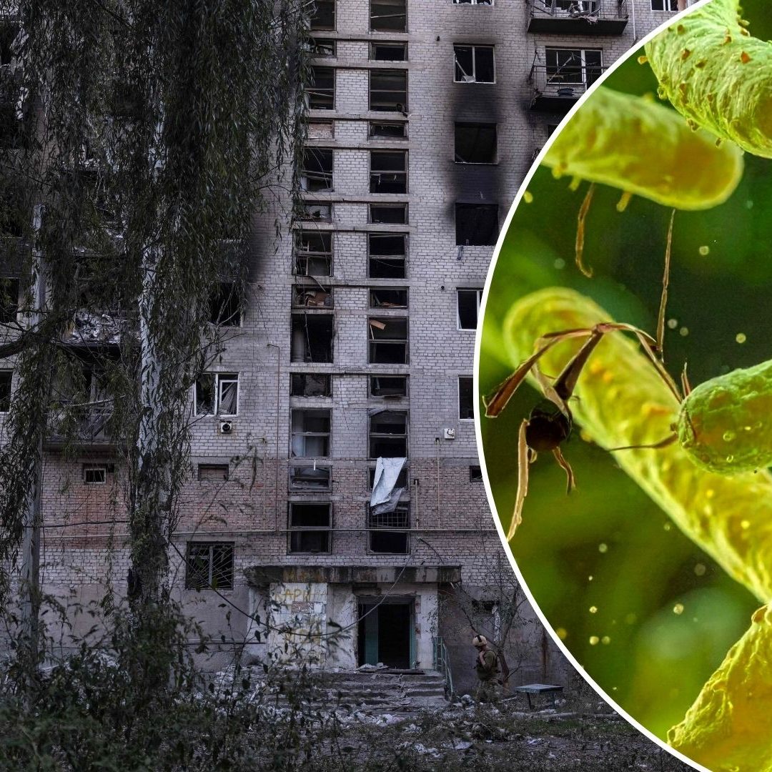 Der Ukraine-Krieg bringt eine beinahe vergessene Krankheit zurück. (SYMBOLBILD)