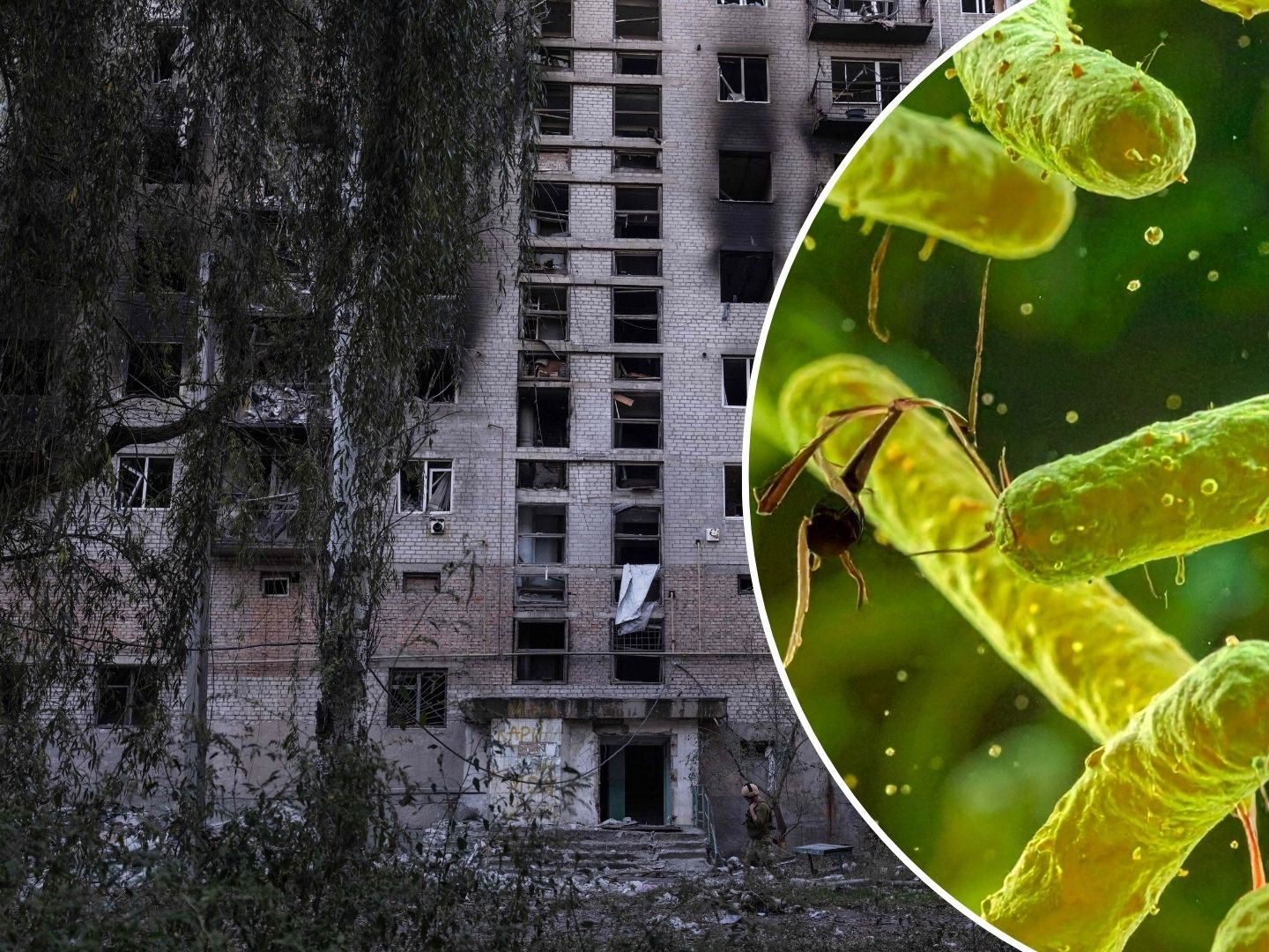 T-dliche-R-ckkehr-Ukraine-Krieg-l-sst-alte-Seuche-wieder-aufflammen