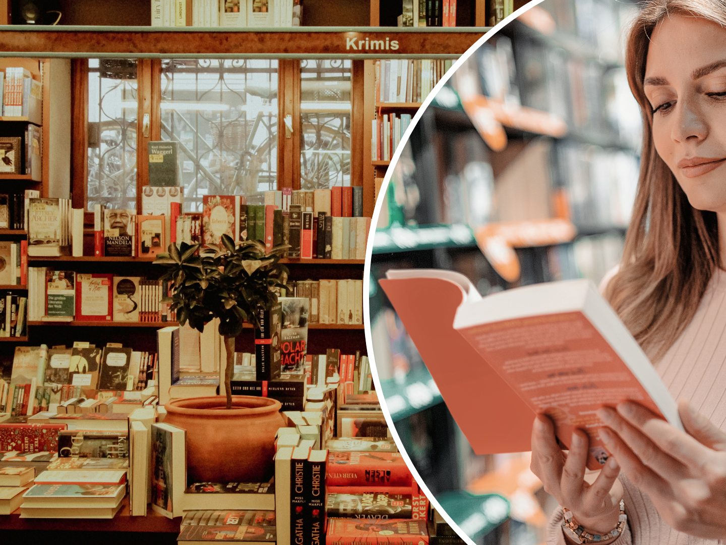 Bücher, Beratung, besondere Orte – Franken kürt seine Lieblingsbuchhandlungen