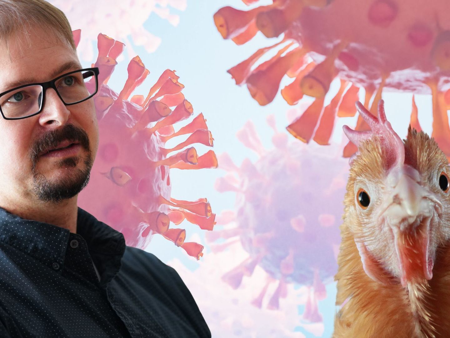 Virologe Krammer plädiert für ein genaues Beobachten der Situation rund um H5N1.