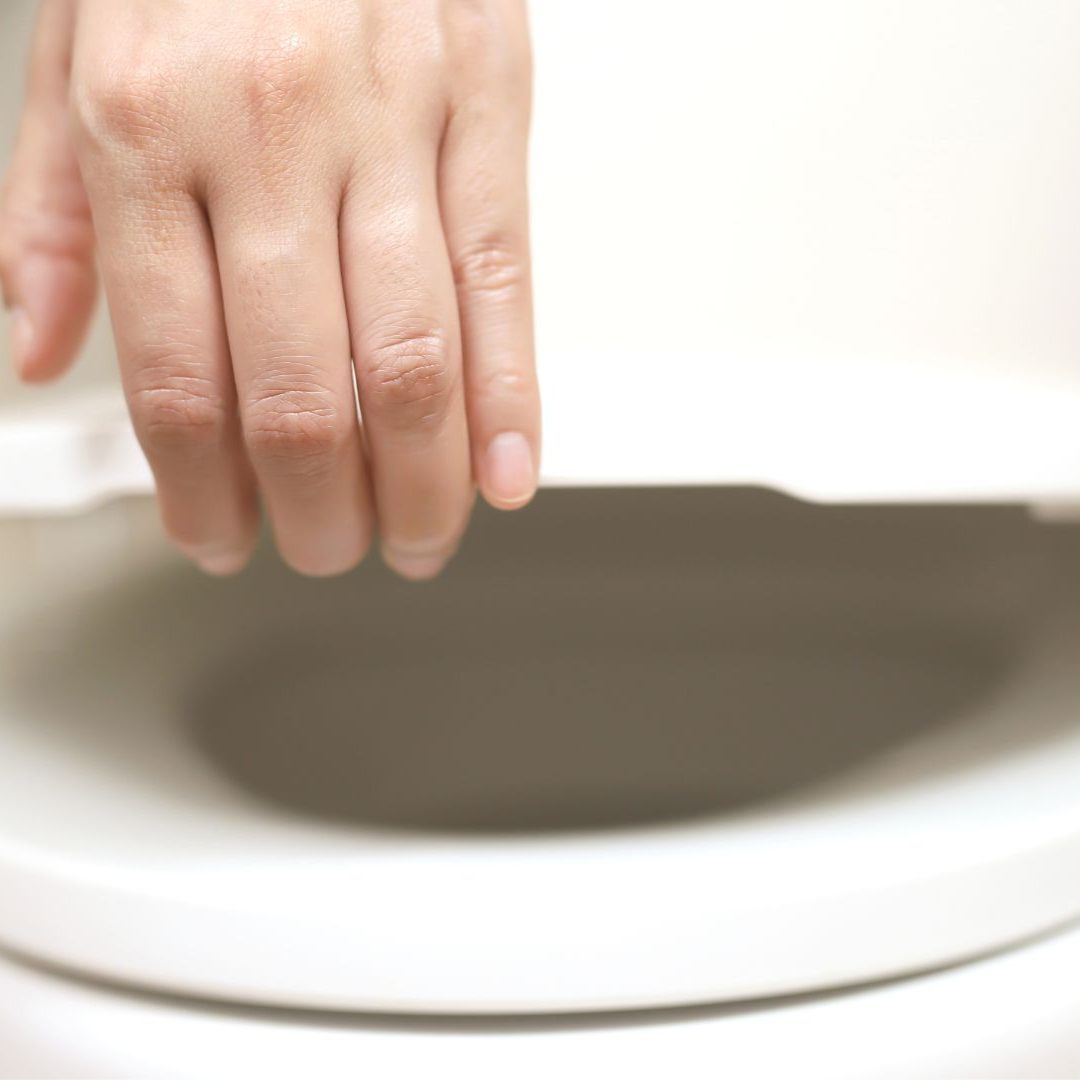 Was passiert, wenn du den Toilettendeckel offen lässt? Die Antwort überrascht.