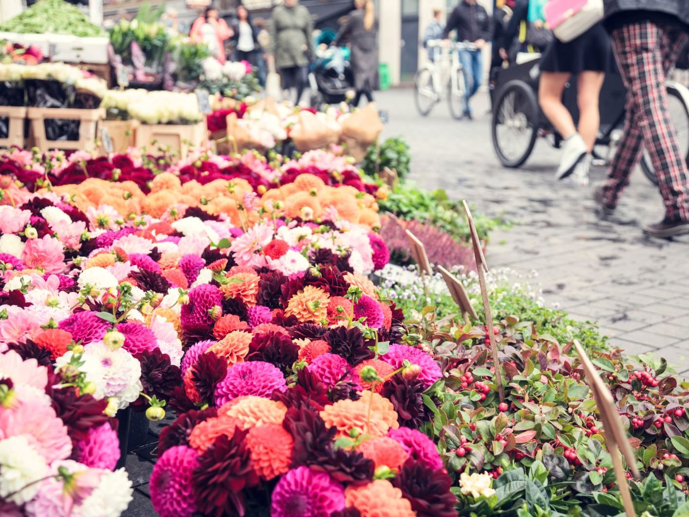 Wie sich Vorarlberg bis 2050 entwickelt.