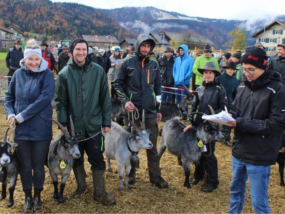 Zuchtverband-zieht-positive-Bilanz-aus-dem-Goa-amat